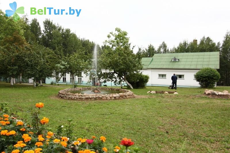 Rest in Belarus - recreation center Druzhba - Territory