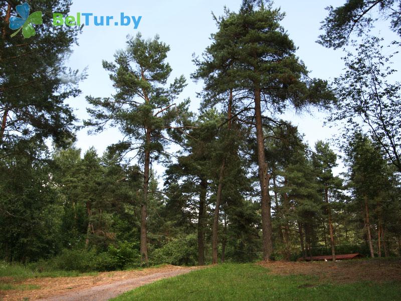 Rest in Belarus - recreation center Nevido - Territory