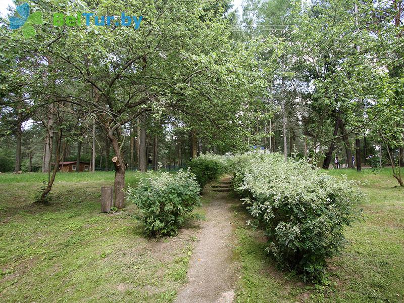 Отдых в Белоруссии Беларуси - база отдыха Невидо - Территория и природа