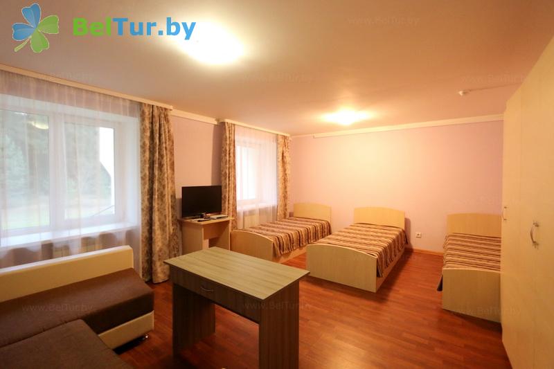 Rest in Belarus - recreation center Galaktika - 1-room triple comfort (building 4) 