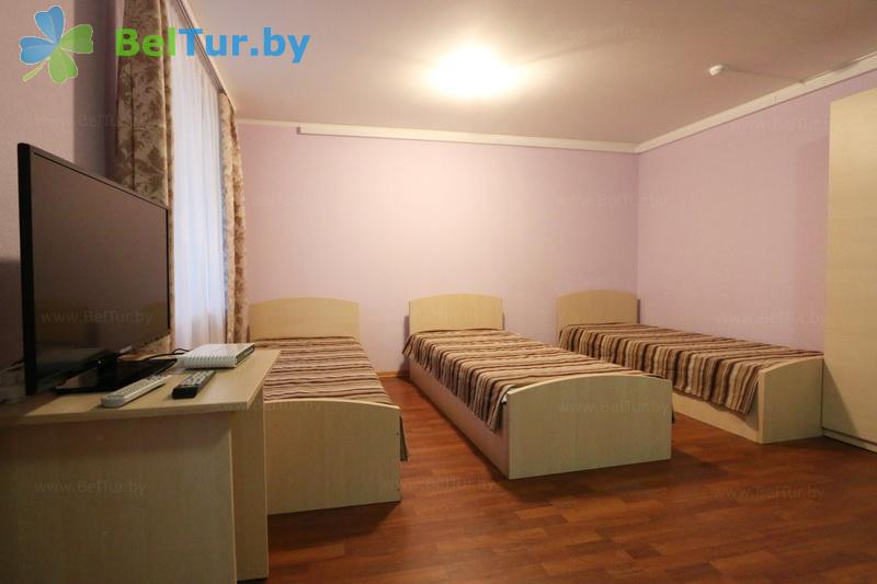 Rest in Belarus - recreation center Galaktika - 1-room triple comfort (building 4) 