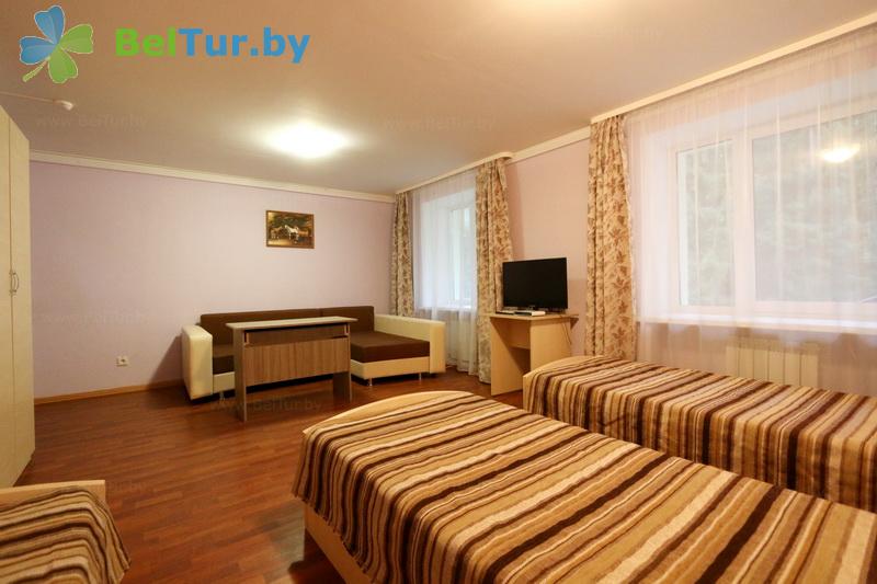 Rest in Belarus - recreation center Galaktika - 1-room triple comfort (building 4) 