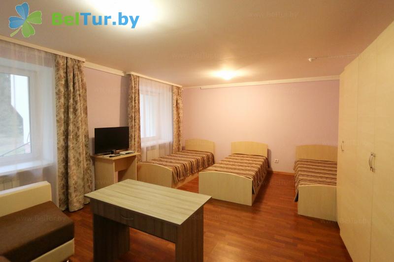 Rest in Belarus - recreation center Galaktika - 1-room triple comfort (building 4) 