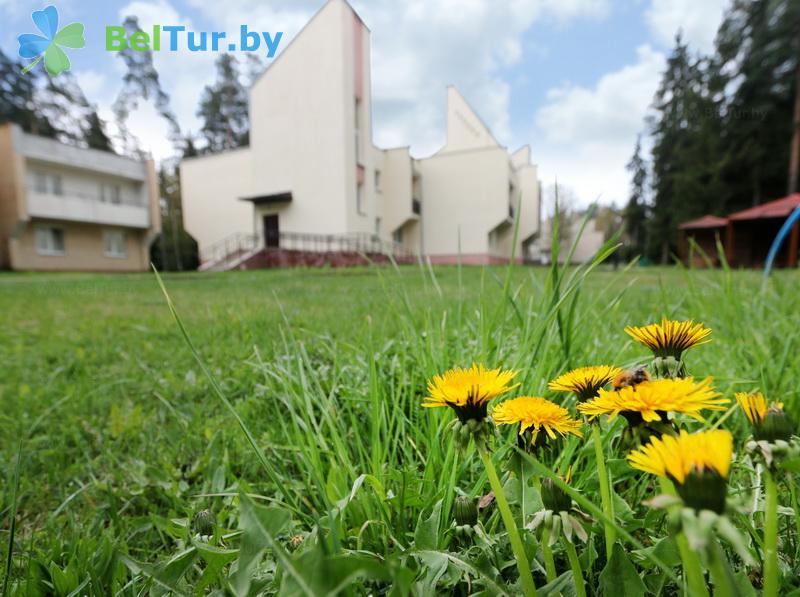 Rest in Belarus - recreation center Galaktika - Territory