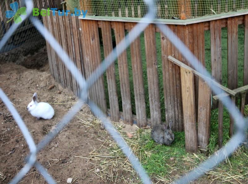 Rest in Belarus - recreation center Galaktika - Aviary