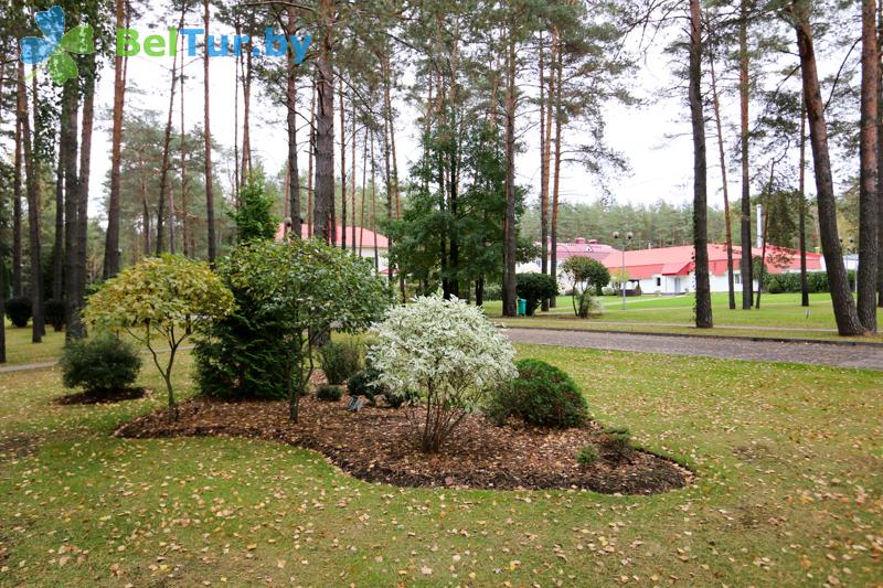 Rest in Belarus - health-improving center Alesya - Territory