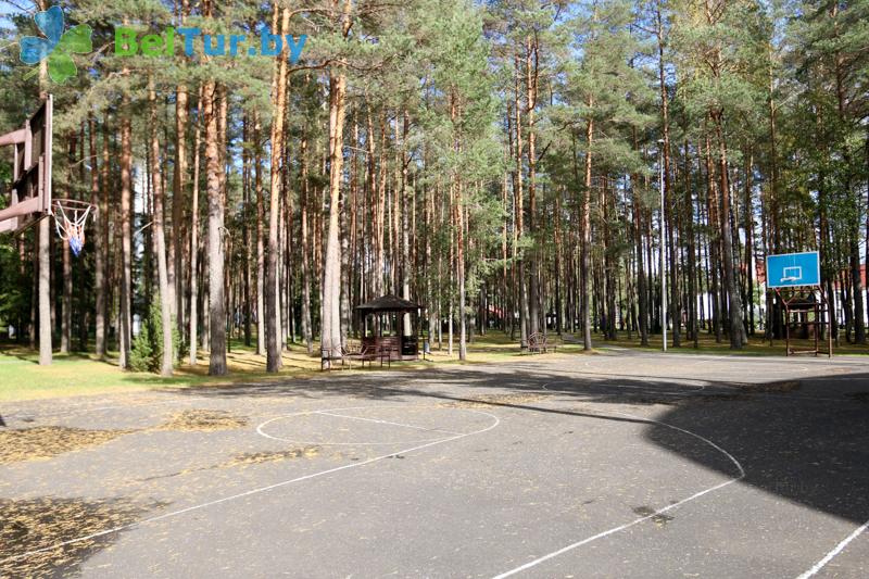 Rest in Belarus - health-improving center Alesya - Sportsground