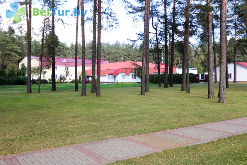 Rest in Belarus - health-improving center Alesya - Territory