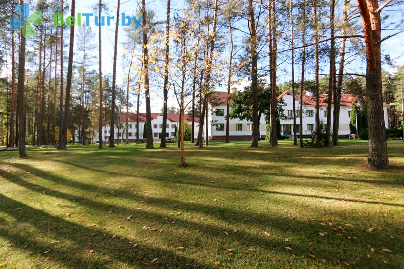 Rest in Belarus - health-improving center Alesya - Territory