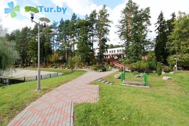 Rest in Belarus - health-improving center Alesya - Territory
