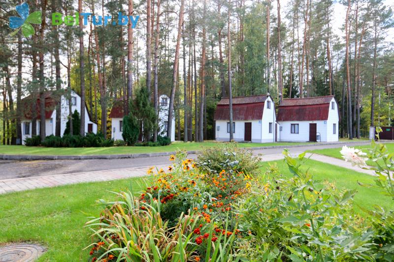 Rest in Belarus - health-improving center Alesya - summer houses