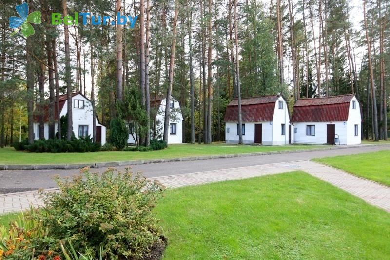 Rest in Belarus - health-improving center Alesya - summer houses