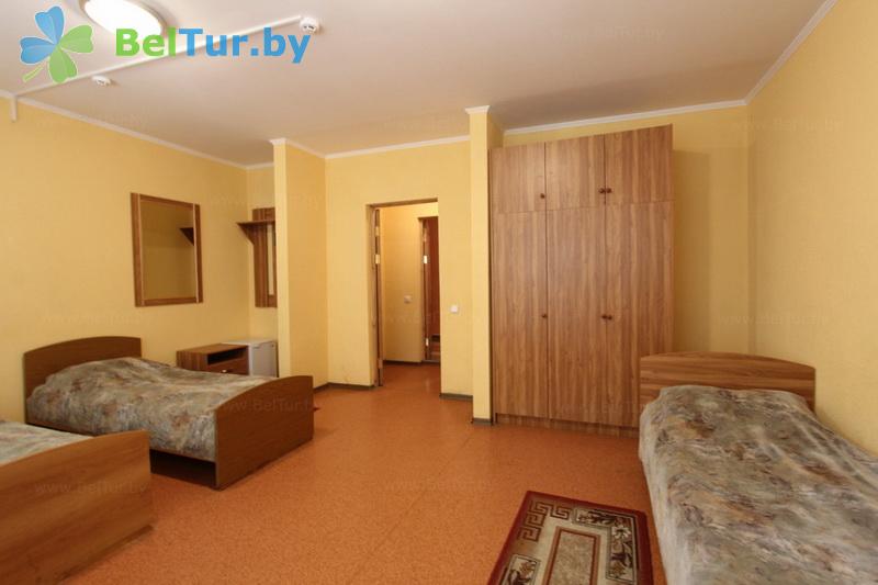 Rest in Belarus - tourist complex Vysoki bereg - 1-room triple standard (building 1) 