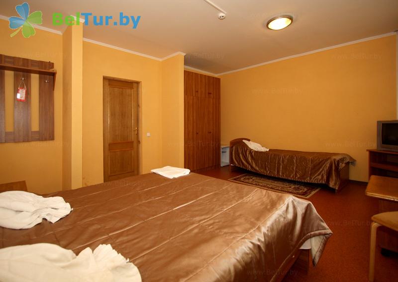 Rest in Belarus - tourist complex Vysoki bereg - 1-room triple standard (building 1) 