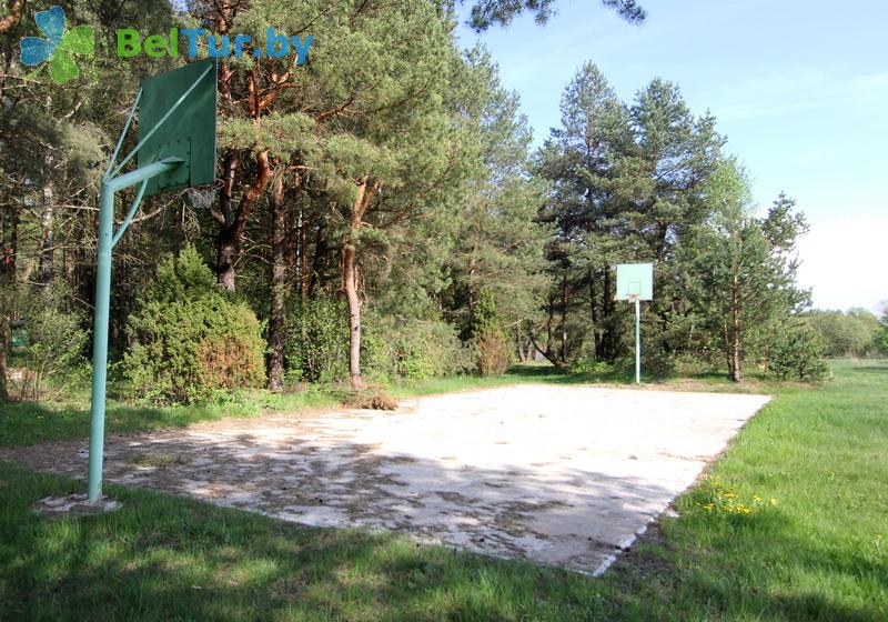 Rest in Belarus - tourist complex Vysoki bereg - Sportsground