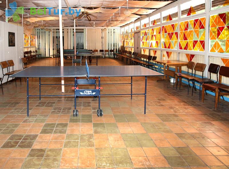 Rest in Belarus - tourist complex Vysoki bereg - Table tennis (Ping-pong)