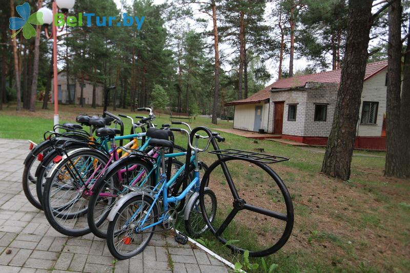 Rest in Belarus - tourist complex Vysoki bereg - Rental