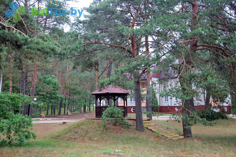 Rest in Belarus - tourist complex Vysoki bereg - Territory