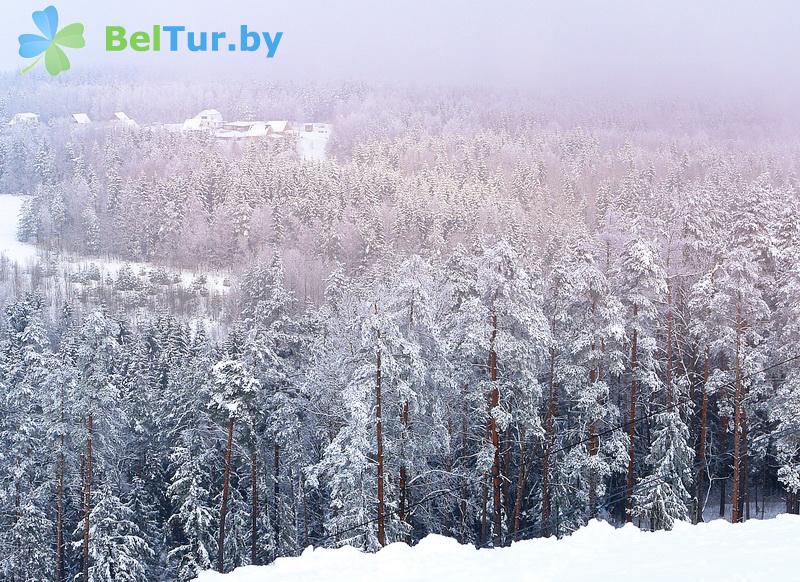 Отдых в Белоруссии Беларуси - республиканский горнолыжный центр Силичи - Территория и природа
