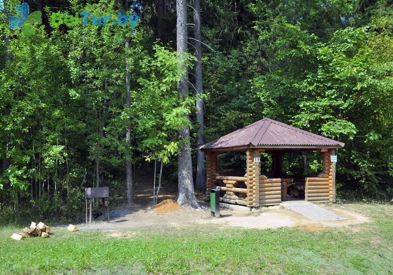 Rest in Belarus - republican ski center Silichy - Arbour