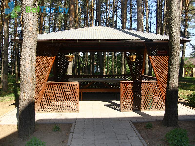 Rest in Belarus - recreation center Checheli - Barbeque