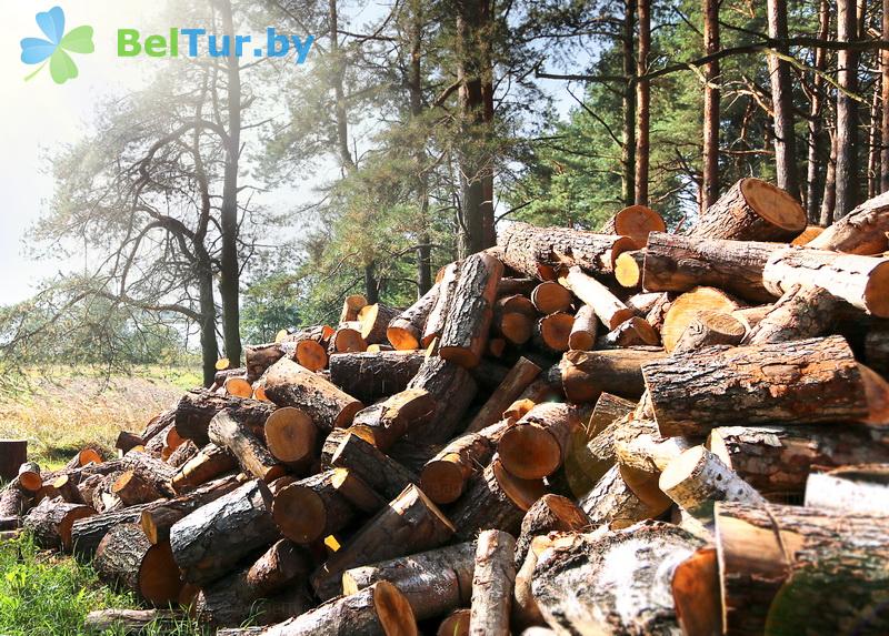 Rest in Belarus - recreation center Checheli - Territory