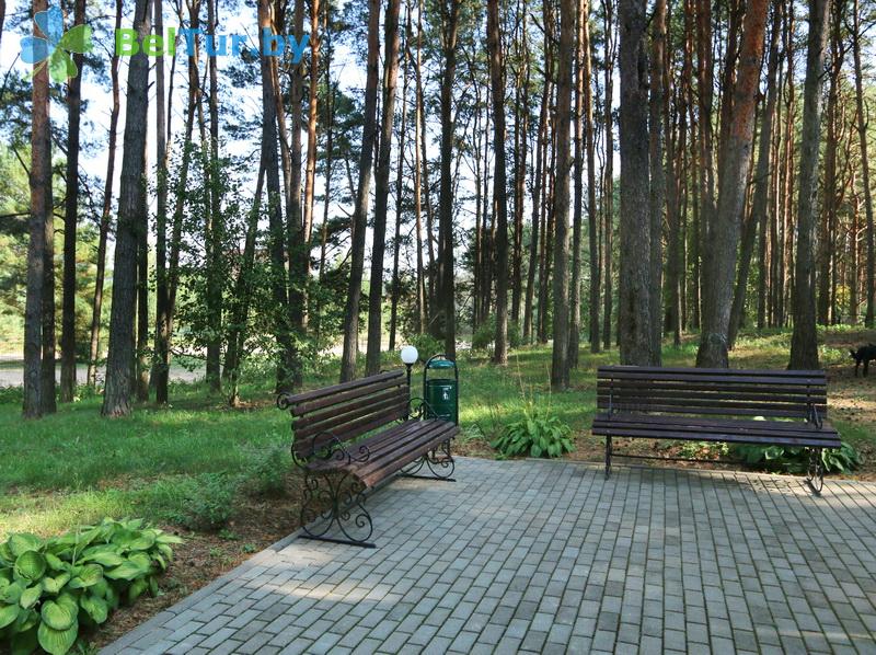 Адпачынак у Беларусі - база адпачынку Чачалі - Тэрыторыя і прырода