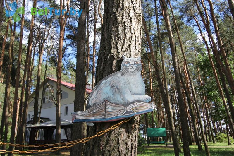 Rest in Belarus - recreation center Checheli - Territory