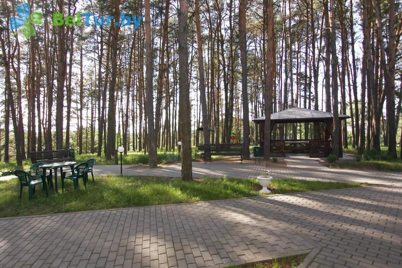 Адпачынак у Беларусі - база адпачынку Чачалі - Тэрыторыя і прырода