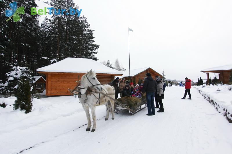 Rest in Belarus - tourist complex Priroda Lux - Territory