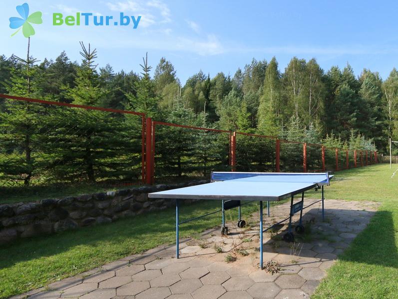 Rest in Belarus - tourist complex Priroda Lux - Table tennis (Ping-pong)