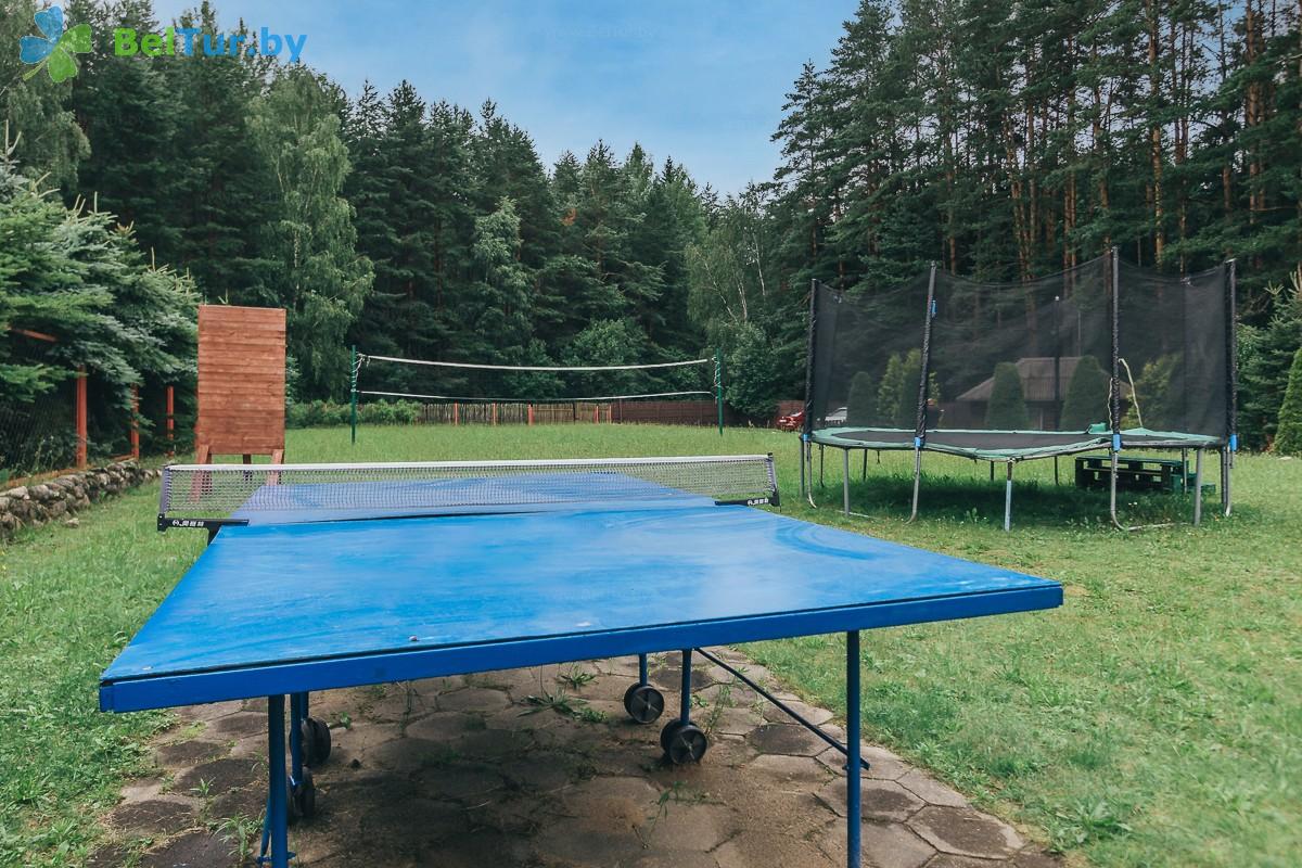 Rest in Belarus - tourist complex Priroda Lux - Table tennis (Ping-pong)