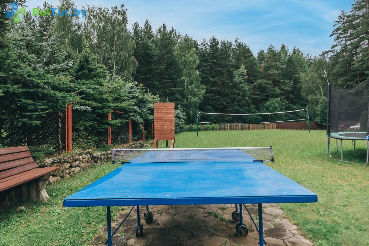 Rest in Belarus - tourist complex Priroda Lux - Table tennis (Ping-pong)