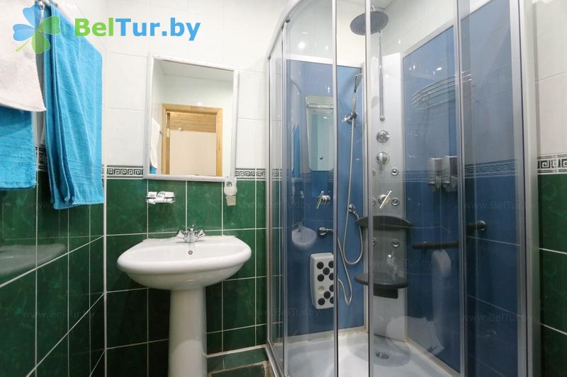 Rest in Belarus - guest house Dom grafa Tyshkevicha - 1-room double / twin (guest house) 