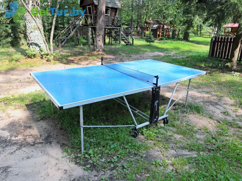 Rest in Belarus - tourist complex Dudinka City - Table tennis (Ping-pong)