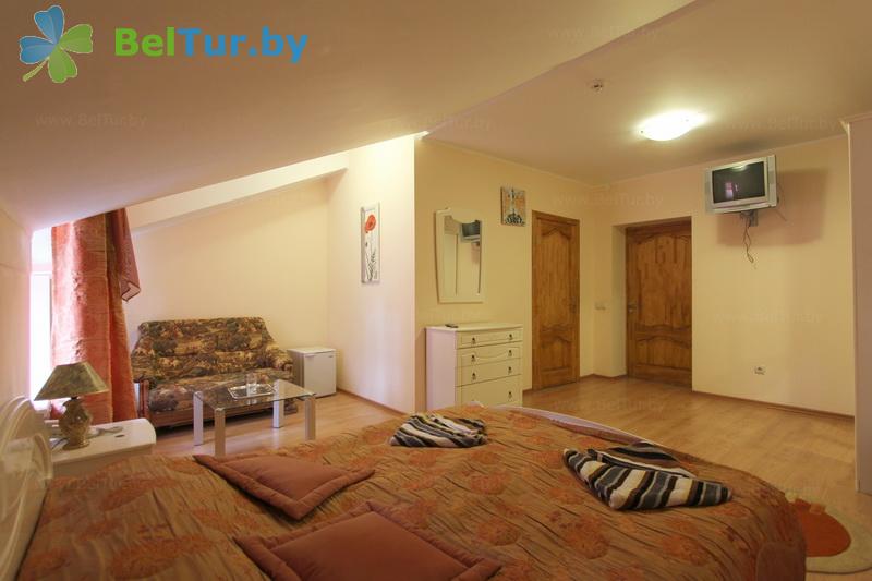 Rest in Belarus - tourist complex Dudinka City - 1-room double standard / with double bed (hotel) 