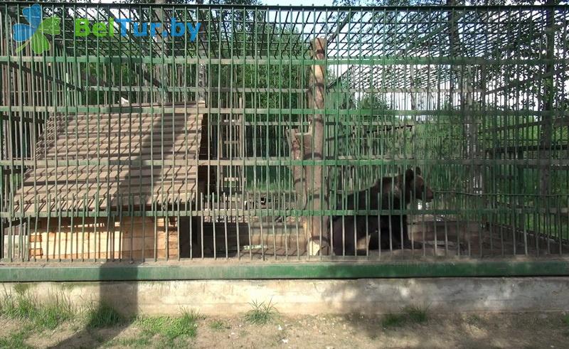 Rest in Belarus - hotel complex Serguch - Aviary