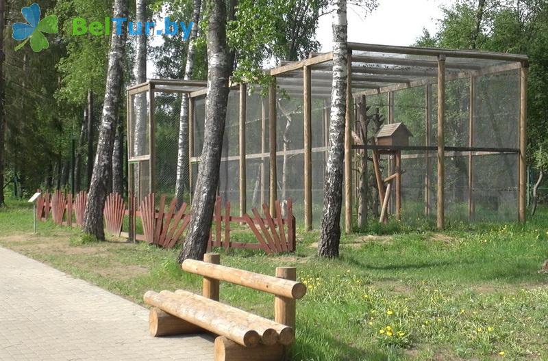 Rest in Belarus - hotel complex Serguch - Aviary