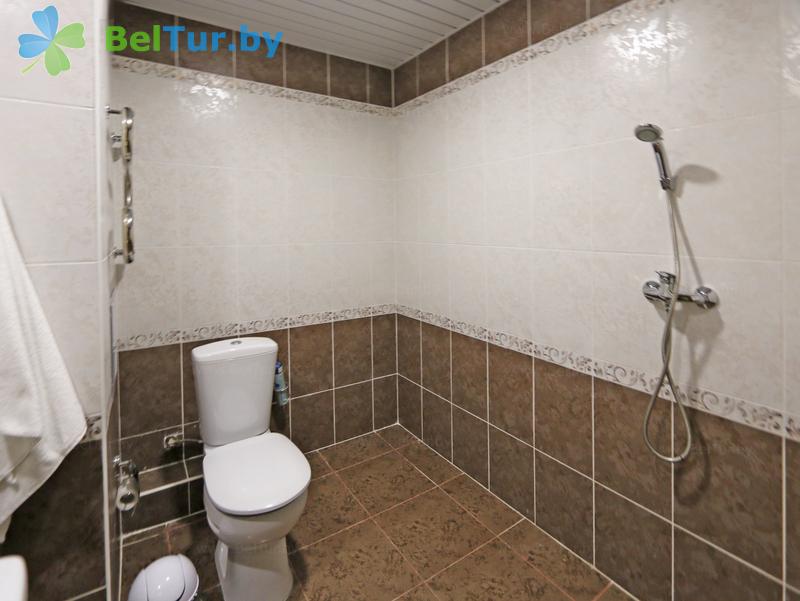 Rest in Belarus - hotel complex Serguch - 2-room double (for disabled people) (hotel) 