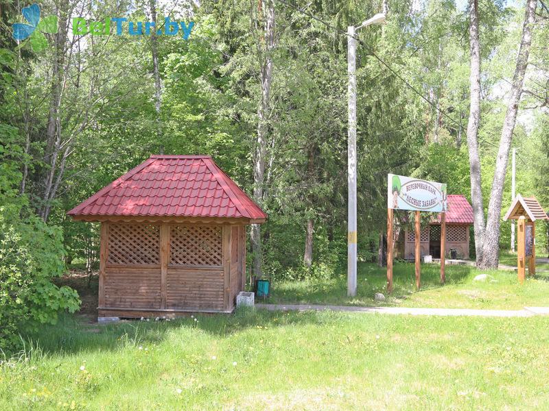 Rest in Belarus - hotel complex Serguch - Arbour