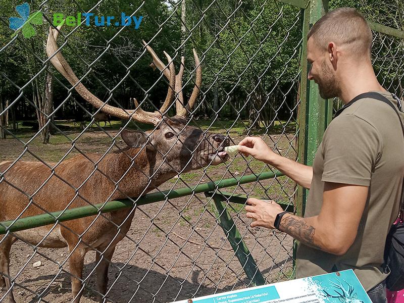 Rest in Belarus - hotel complex Serguch - Aviary