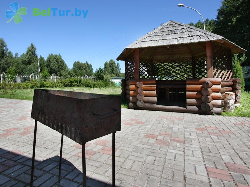 Отдых в Белоруссии Беларуси - гостевой дом Проньки - Площадка для шашлыков
