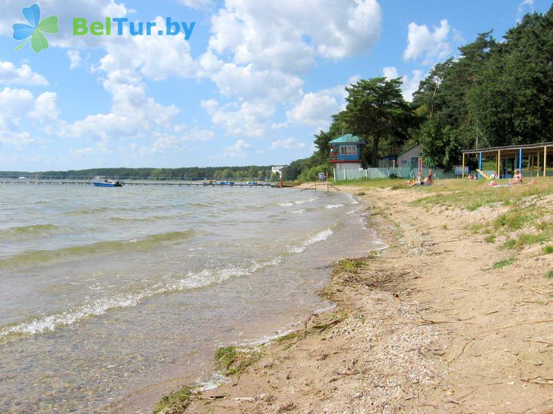 Rest in Belarus - guest house Naroch na Naberezhnoy - Beach
