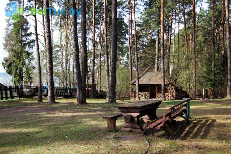 Rest in Belarus - guest house Naroch na Naberezhnoy - Territory
