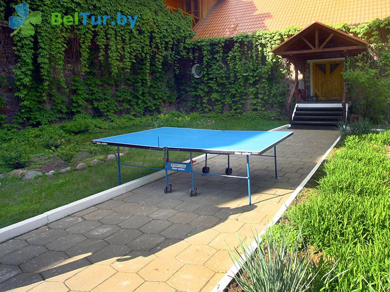 Rest in Belarus - guest house Plavno GD - Table tennis (Ping-pong)