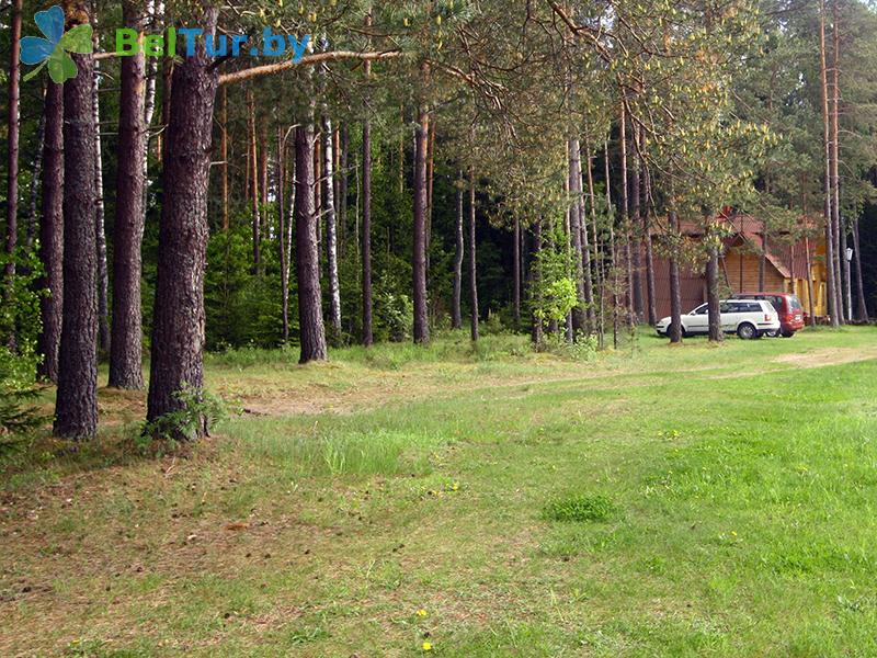 Rest in Belarus - guest house Plavno GD - Territory
