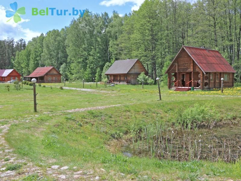 Rest in Belarus - recreation center Nivki - Territory