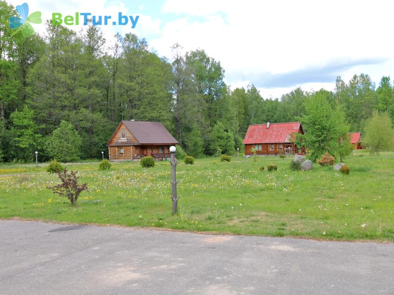 Rest in Belarus - recreation center Nivki - Territory