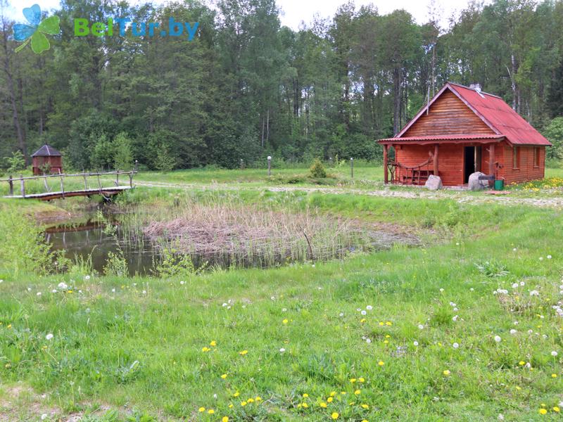 Rest in Belarus - recreation center Nivki - Territory