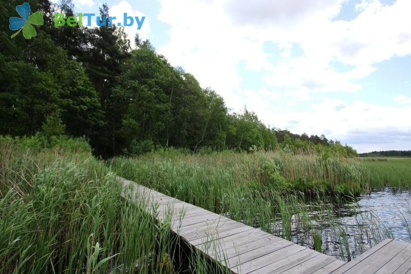 Rest in Belarus - guest house Domzherickoe ozero - Territory